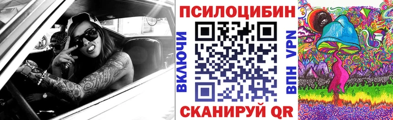 Купить  Снежногорск  Псилоцибиновые грибы Psilocybe 