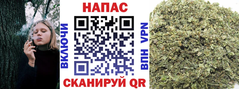 Бошки марихуана ГИДРОПОН  Купить  Снежногорск 